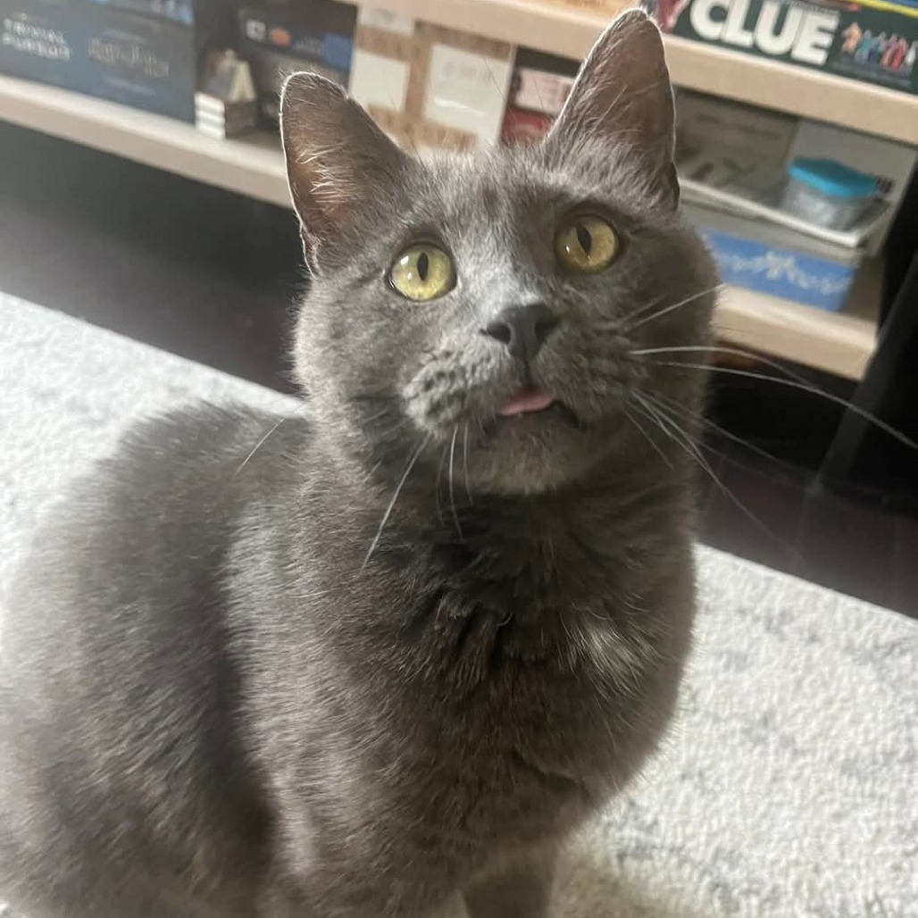 The Grey Lady