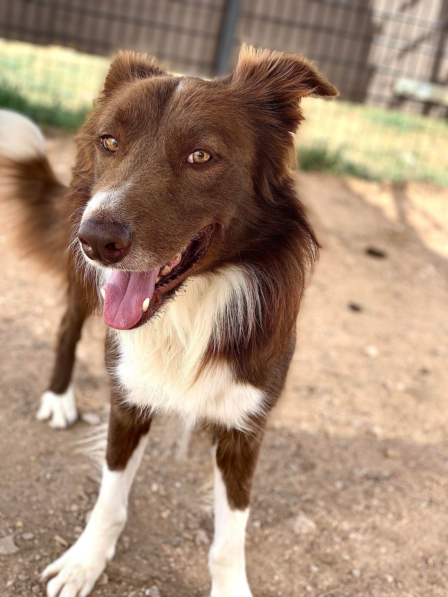 Max