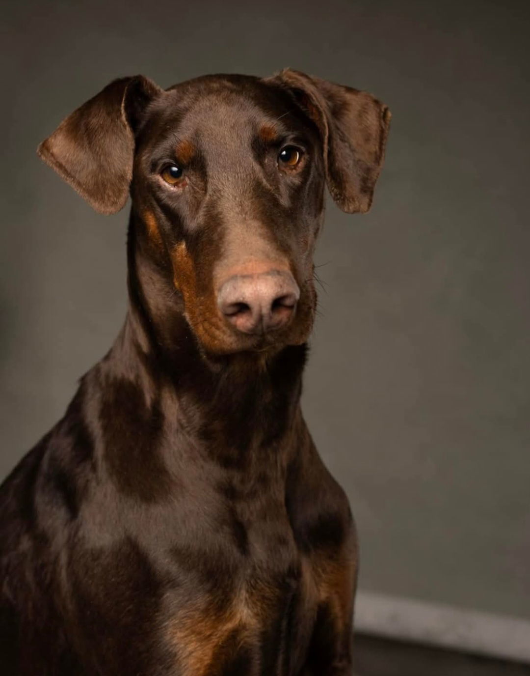 Faith-Adoption Pending