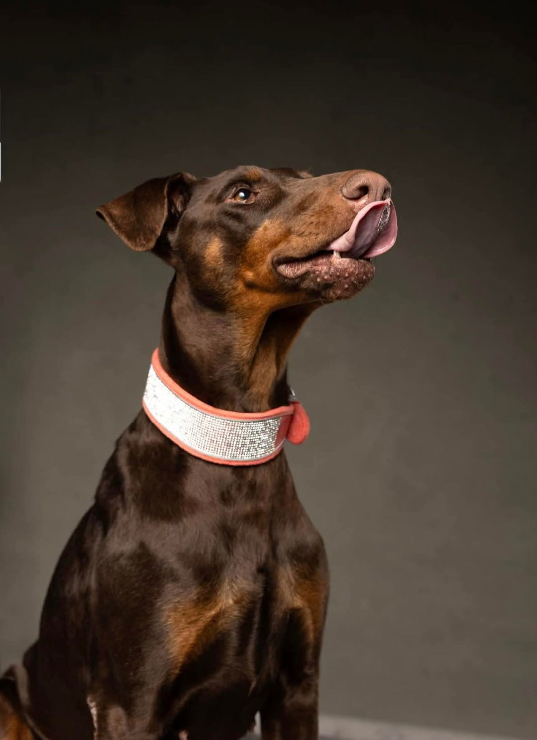 Faith-Adoption Pending