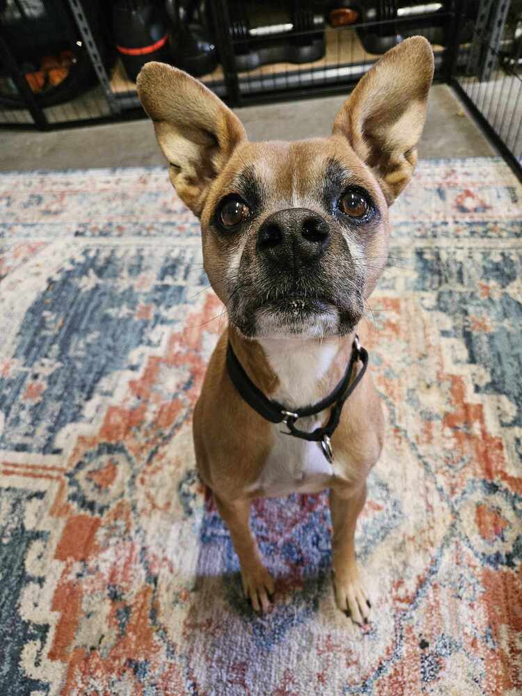 Burt