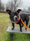 Sweet Glo- IN FOSTER photo 3