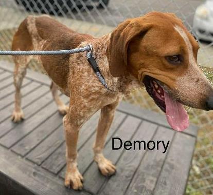Demory 1
