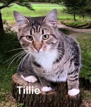 Trixie