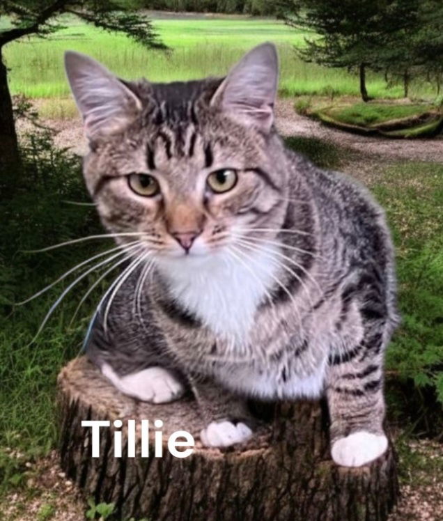 Trixie