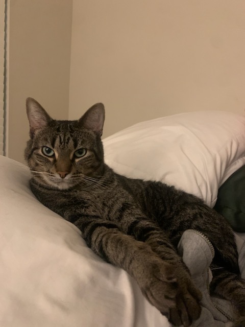Astro