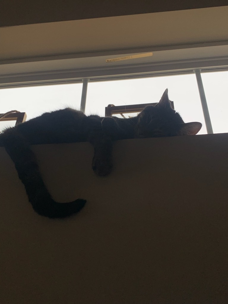Astro