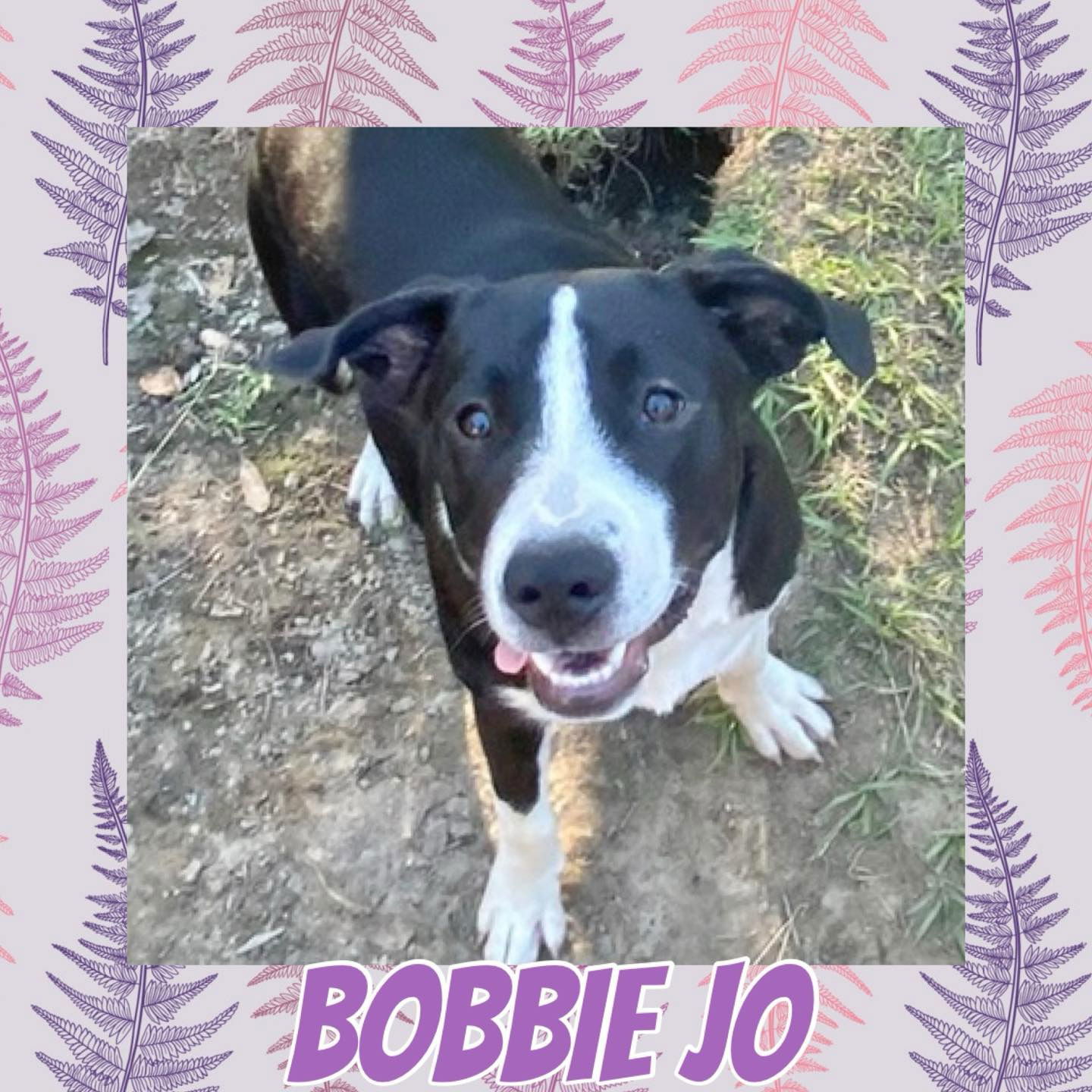 Bobbie Jo