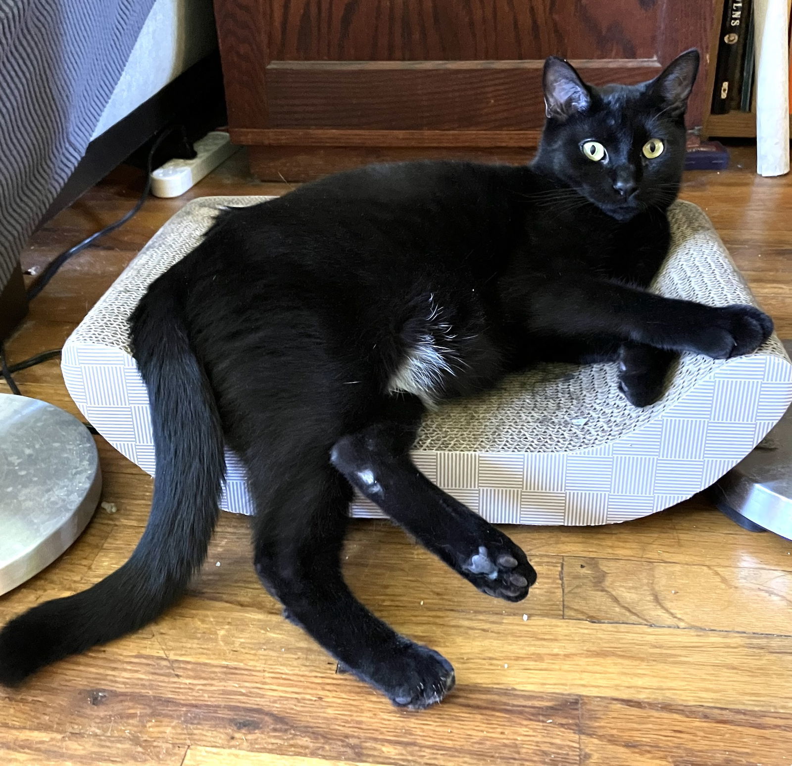 Black Panther