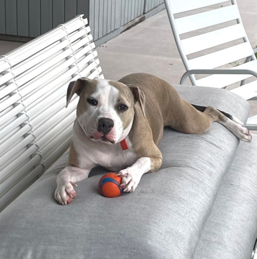 Mia PKA Stella