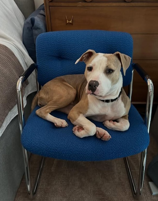 Mia PKA Stella