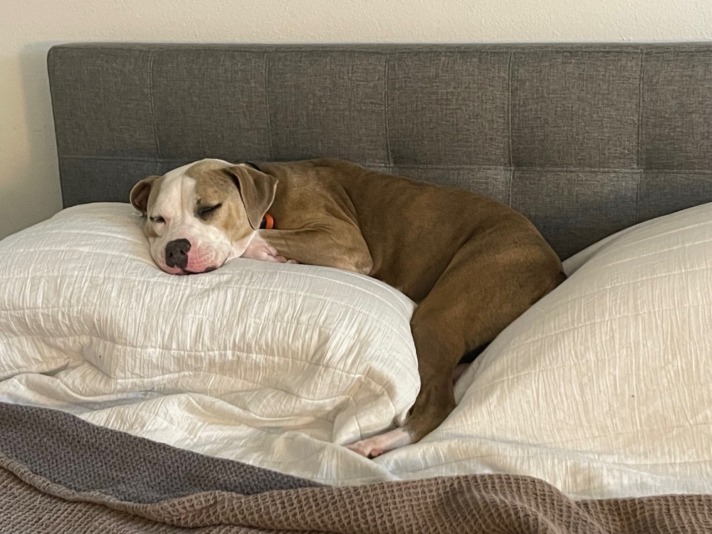 Mia PKA Stella