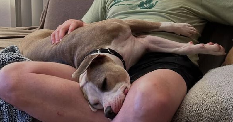 Mia PKA Stella