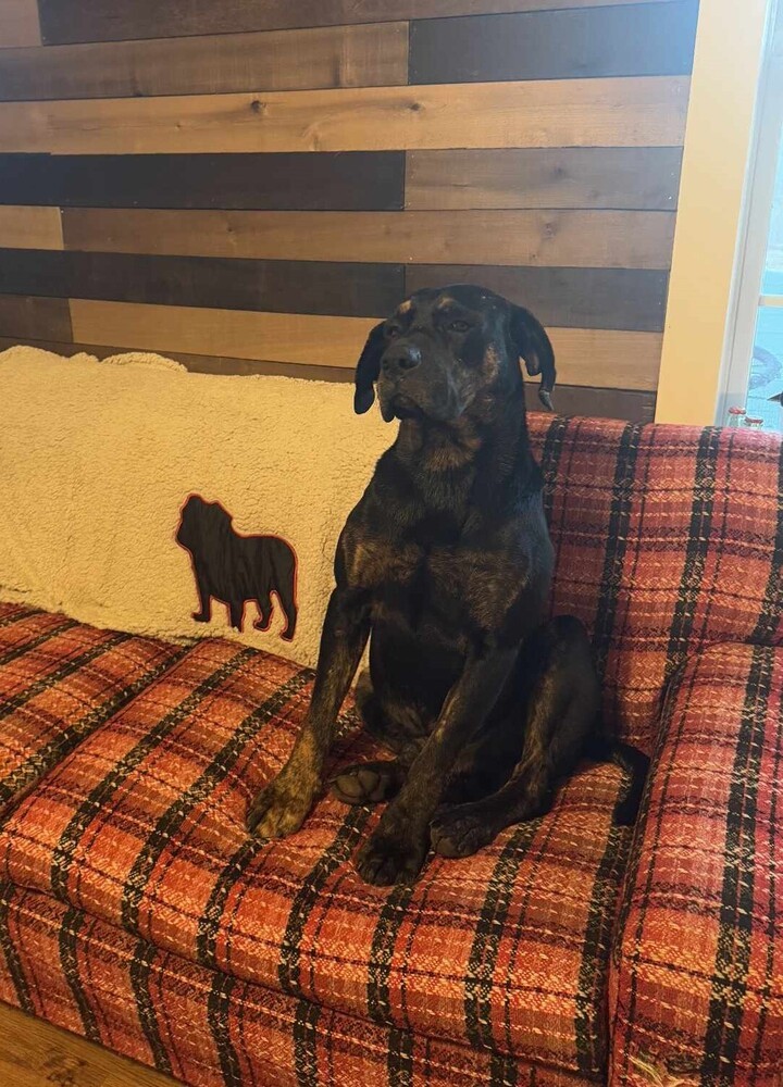 Franklin
