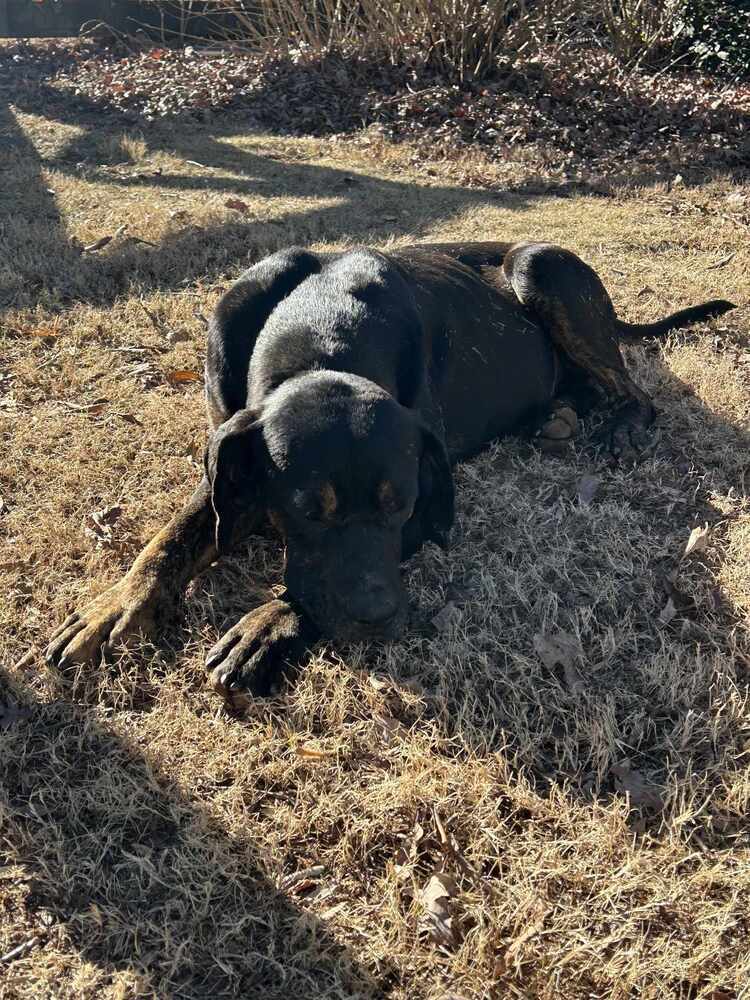 Franklin