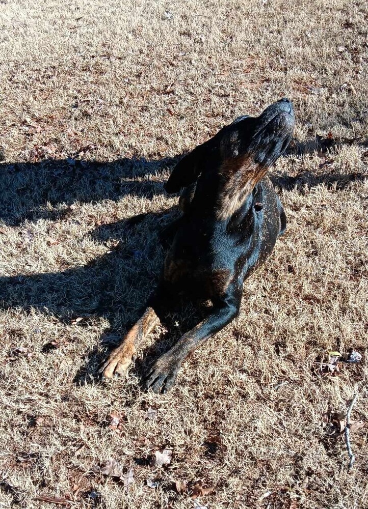 Franklin
