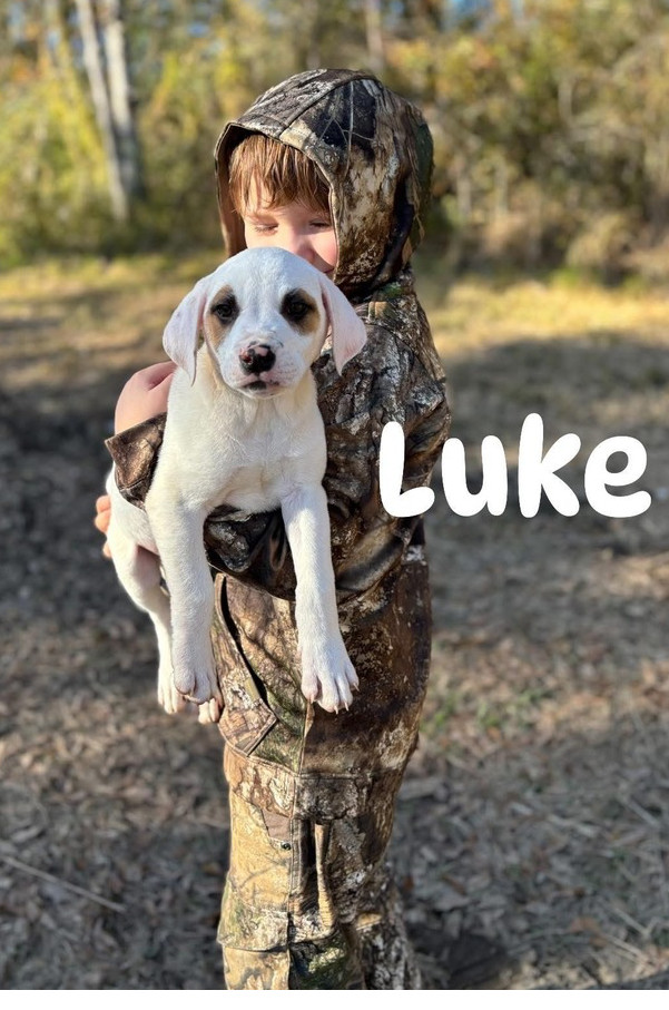 Luke Gilmore Gang