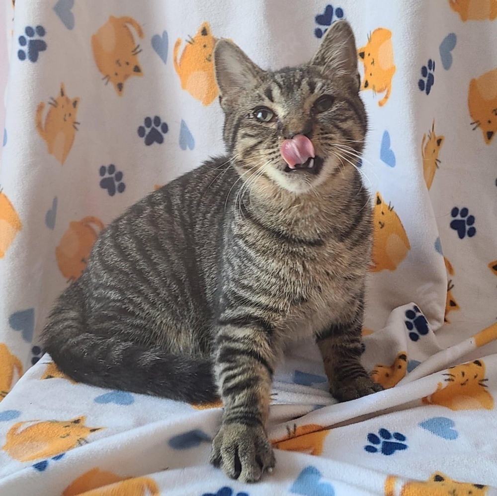 Jack (bonded to Jill)