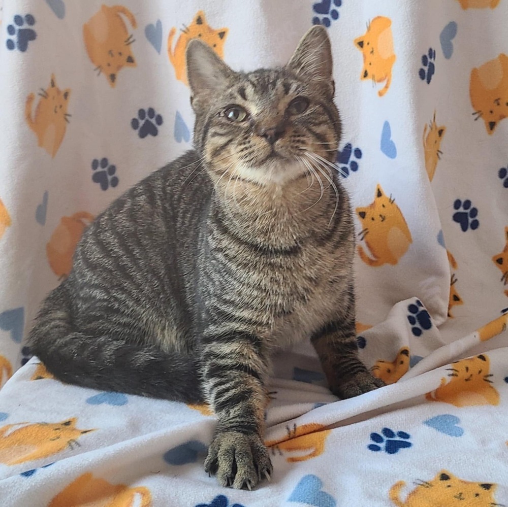 Jack (bonded to Jill)