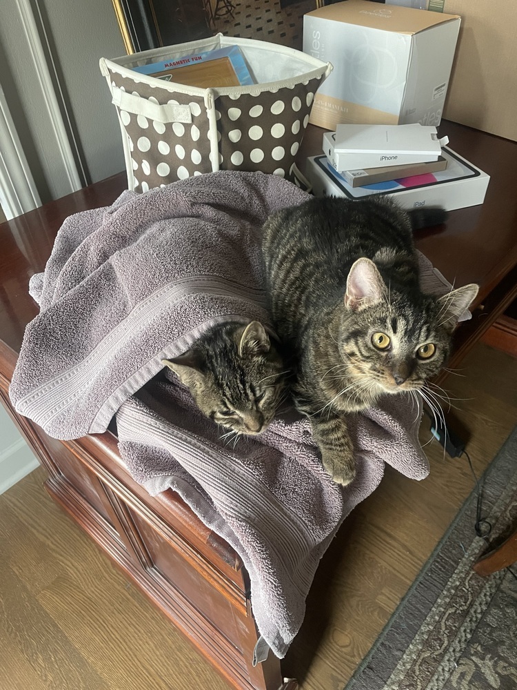 Jack (bonded to Jill)