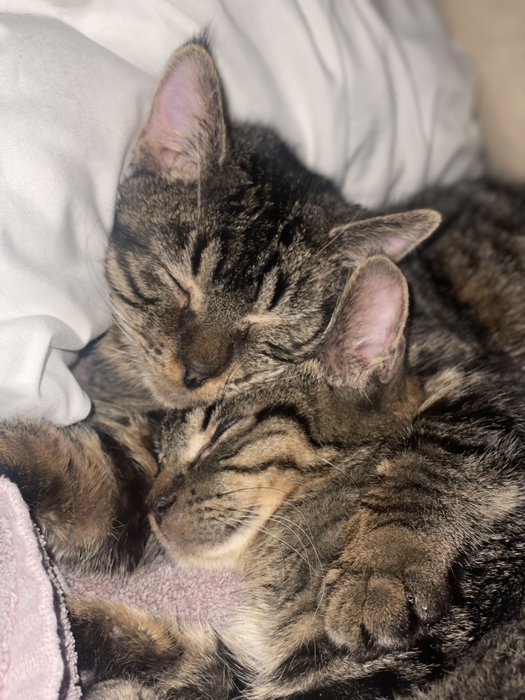 Jack (bonded to Jill)