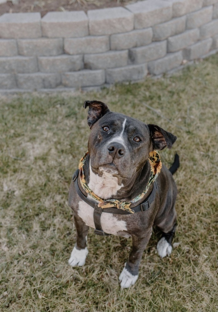 Josie