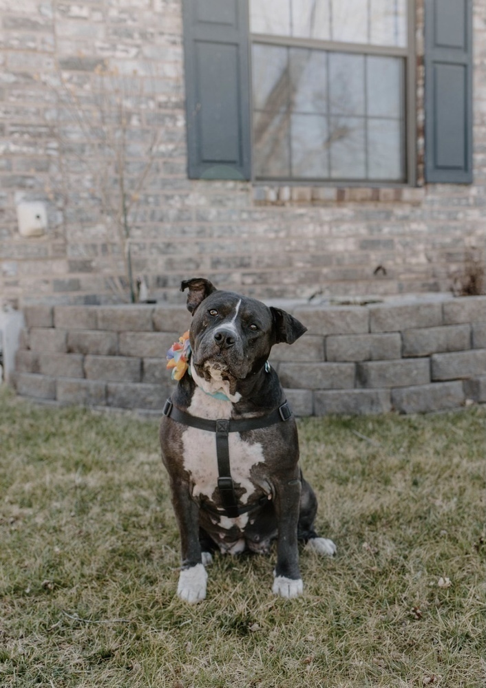 Josie