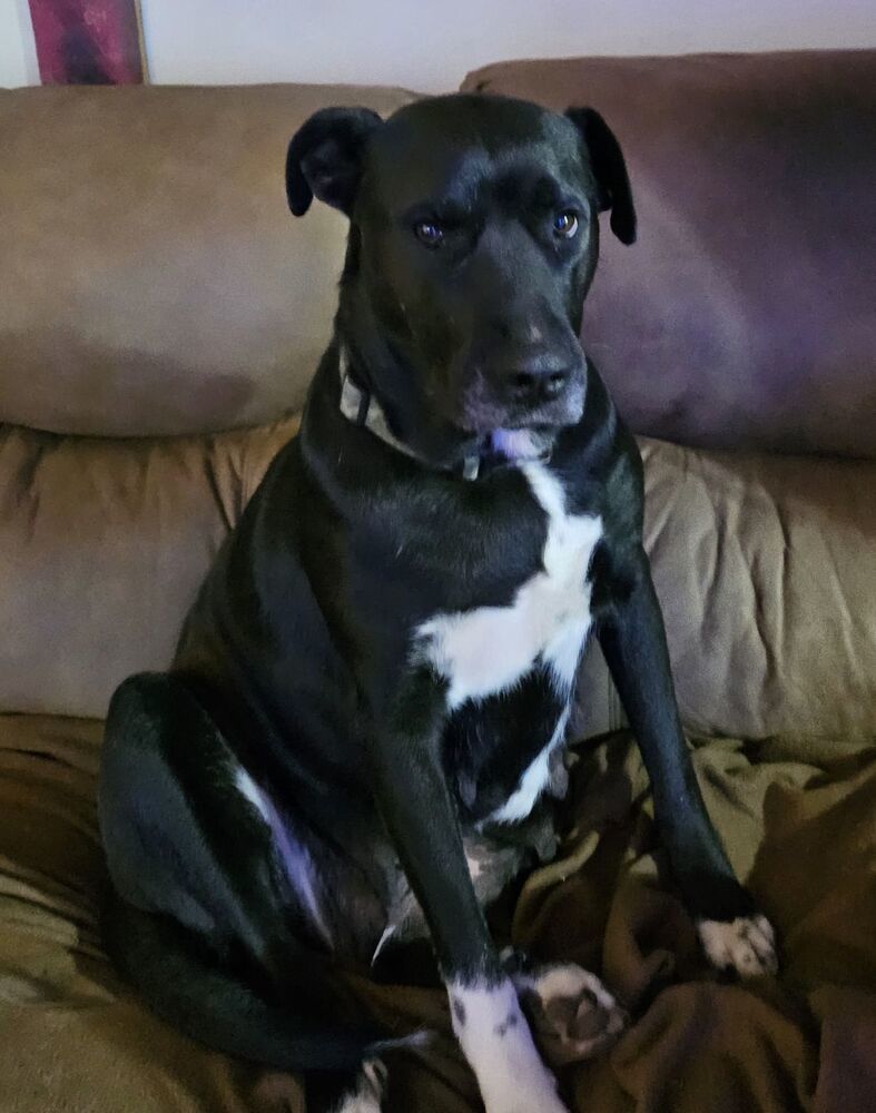 Mama