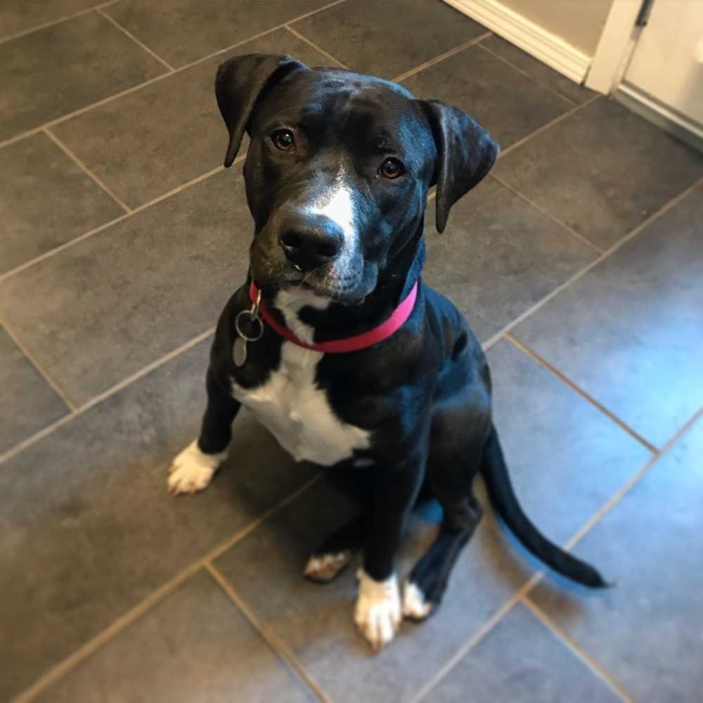 Ted