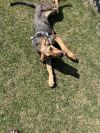 Maya photo 2