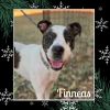 Finn photo 2