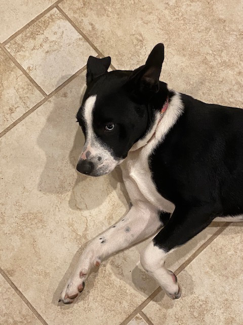 Luna