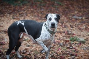 Isabelle is a 7-year-old sweetheart with a tender heart and a cautious nature Though she may be shy