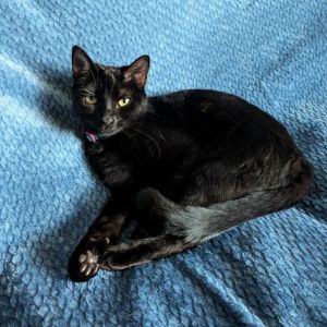 Hathar is a shy little peanut who is taking some time to warm up but is getting 