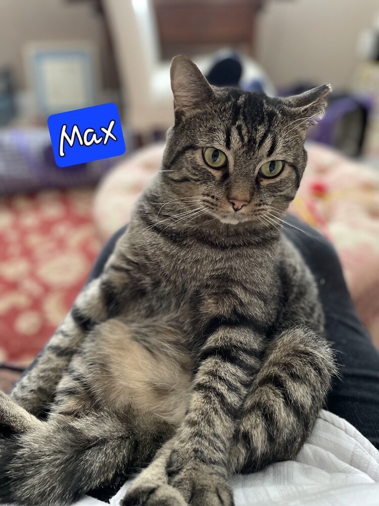 Max