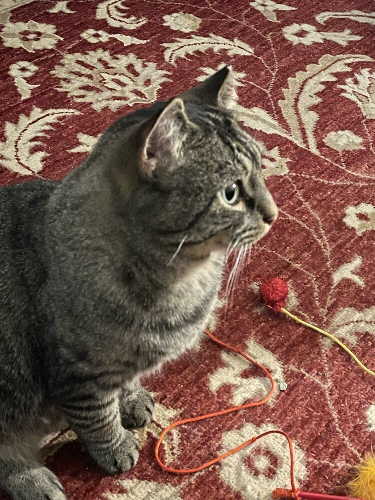 Max