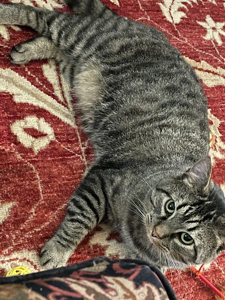 Max