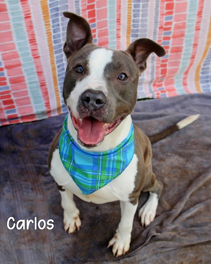 Carlos