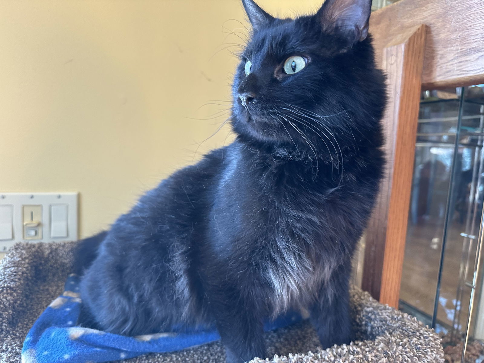 Tyson