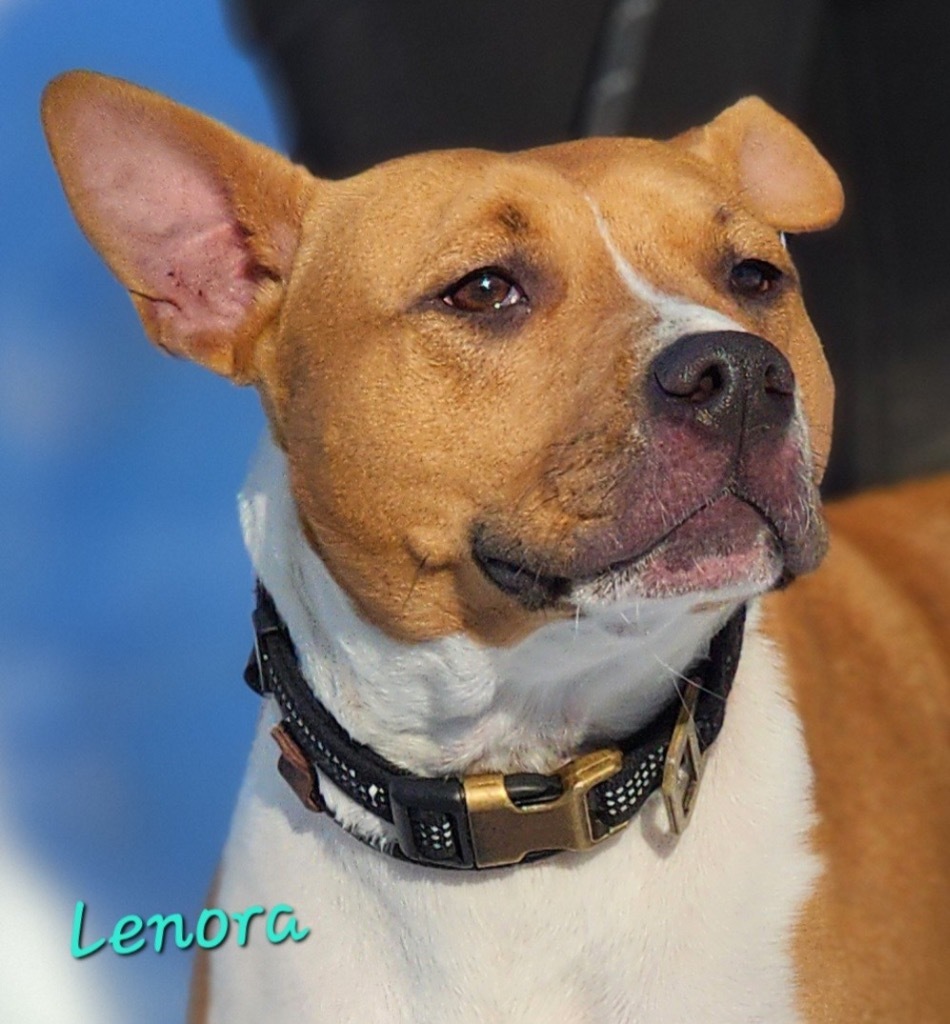 Lenora