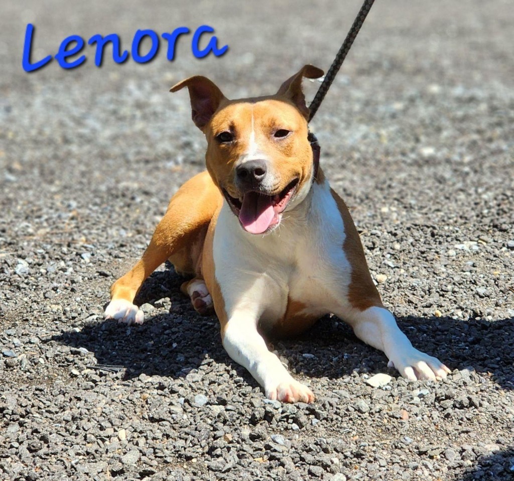 Lenora