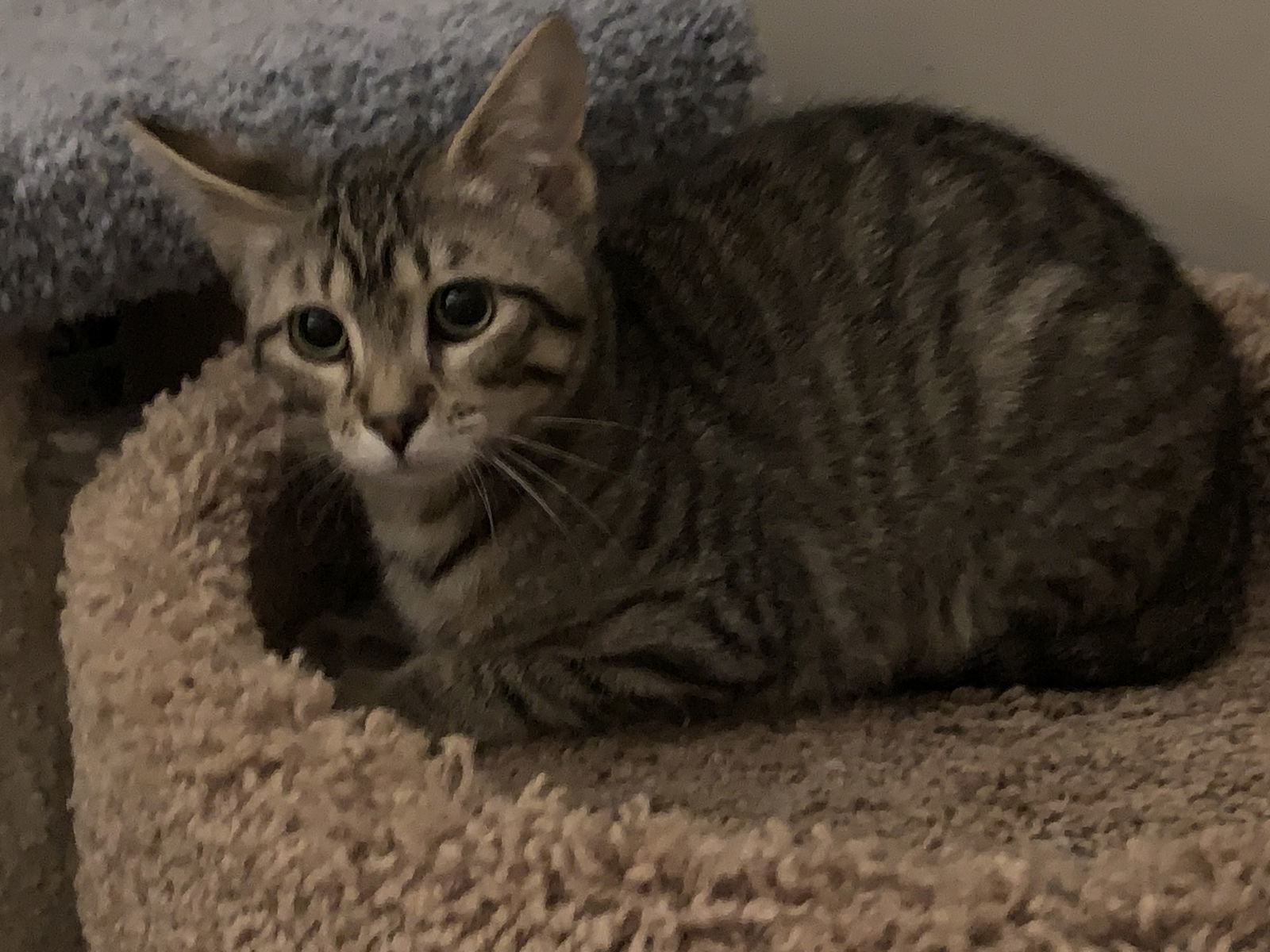 Vinny