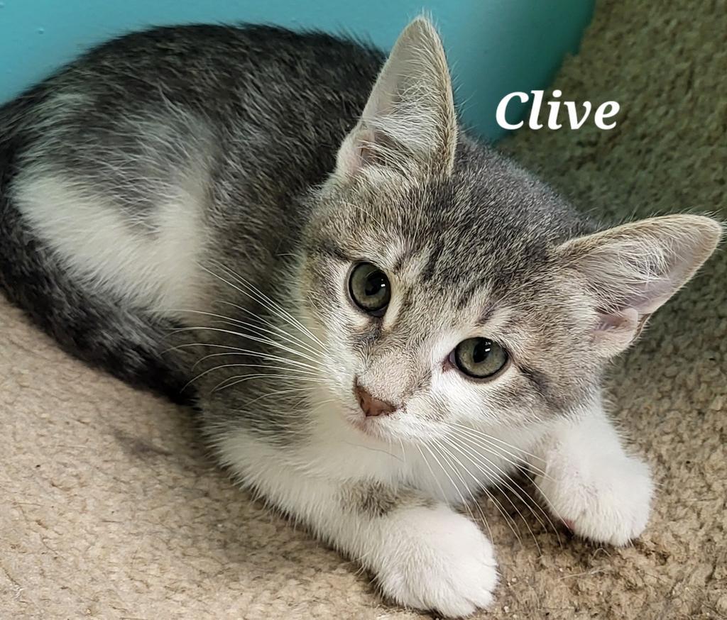 Clive