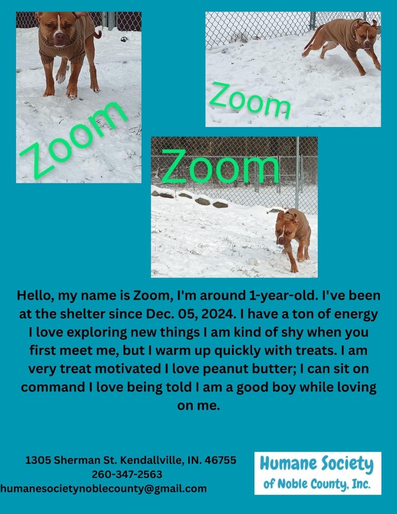 Zoom