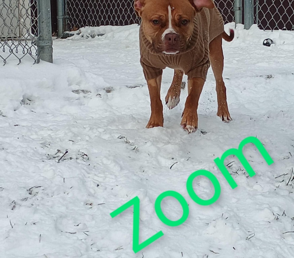 Zoom