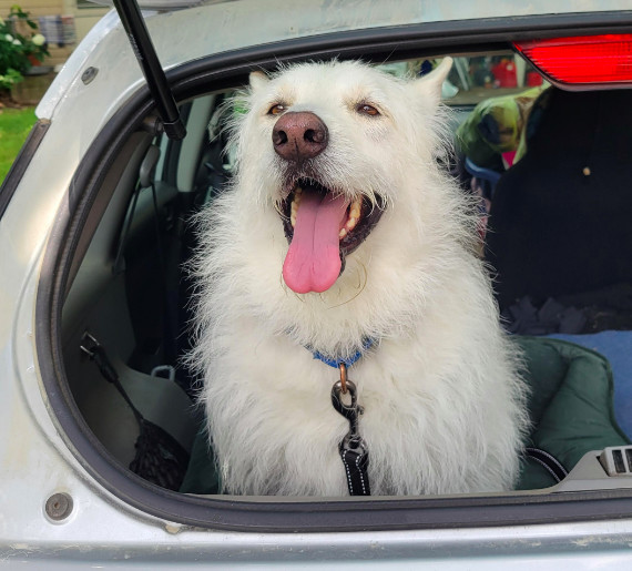 Polar