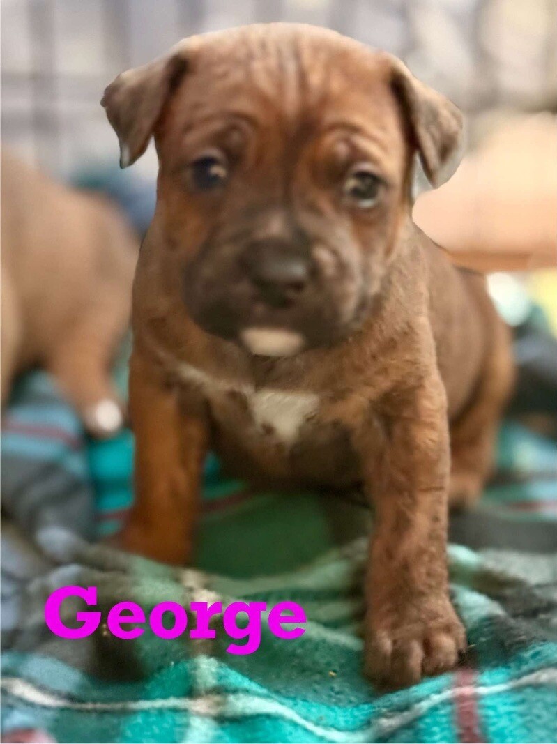 George