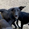 Janas (January) photo 6