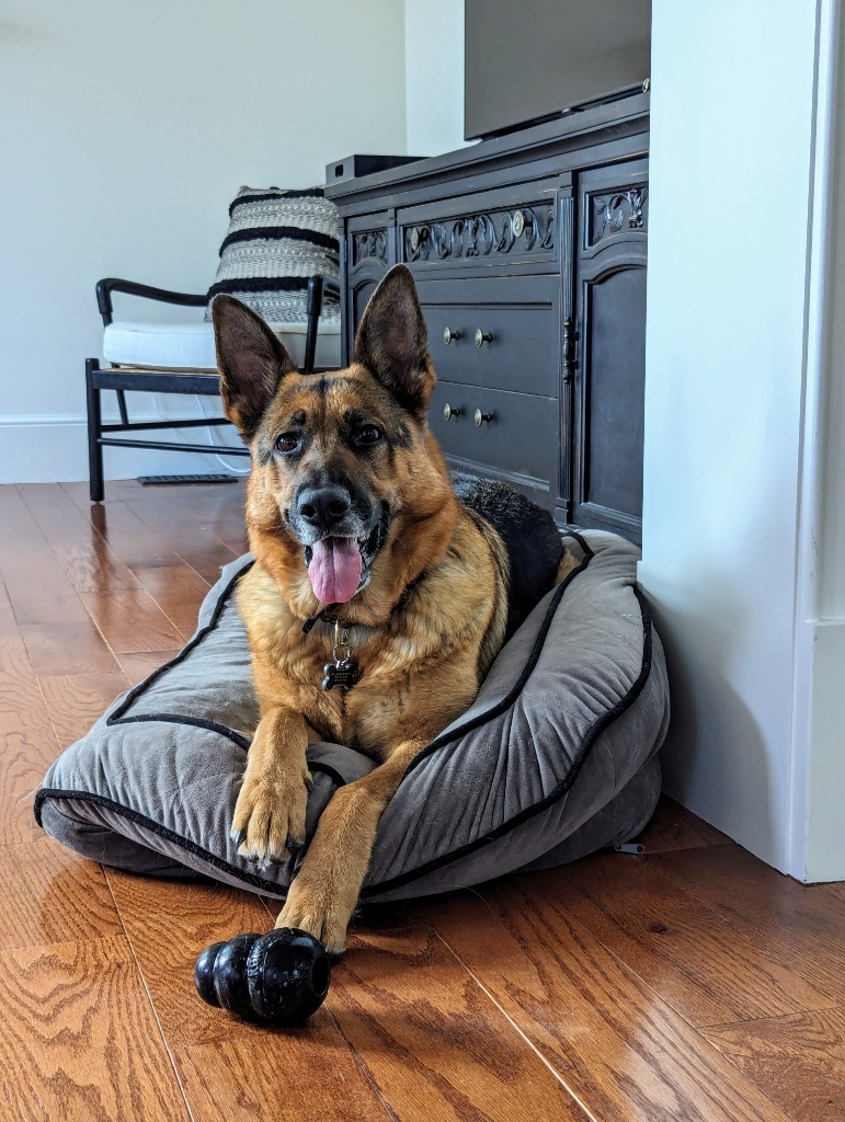 Gracie