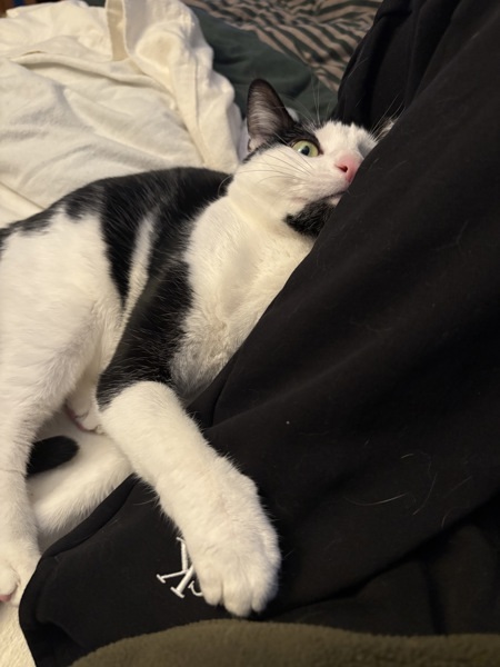 Tallulah